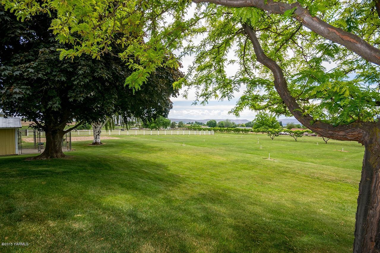 9530 Bittner Road Yakima, WA 98901 - Photo 18 of 28 a view of field with trees