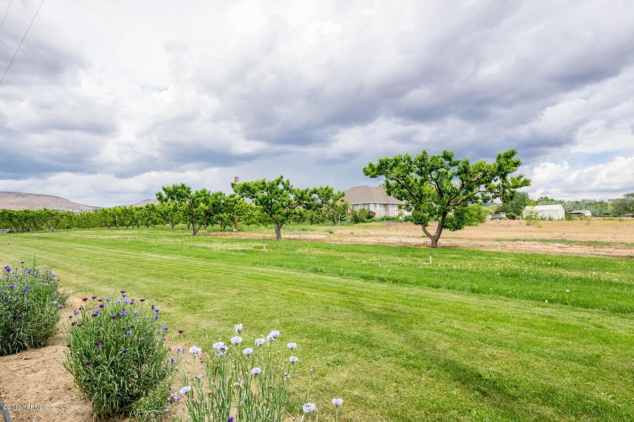 9530 Bittner Road Yakima, WA 98901 - Photo 21 of 28 a view of yard with green space