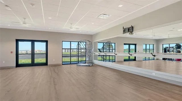 a view of a park with palm trees