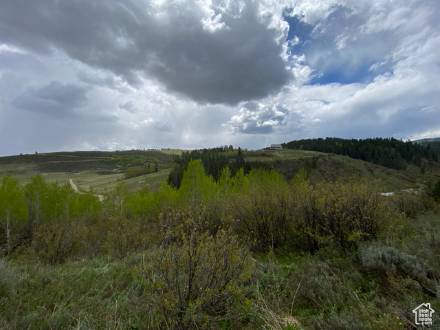 41 Grouse Loop Road, Unit 41 Freedom, WY 83120 - Photo 26 of 33 Mountain view featuring rural landscape