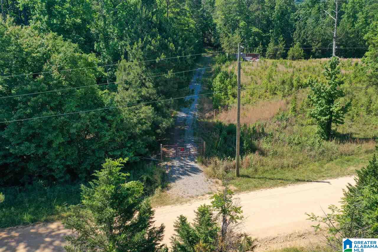 948 Old Deer Creek Road Sterrett, AL 35147 - Photo 8 of 19