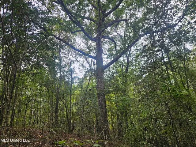 $296,000 | Simpson Hwy Mount, Mount Olive, MS 39119