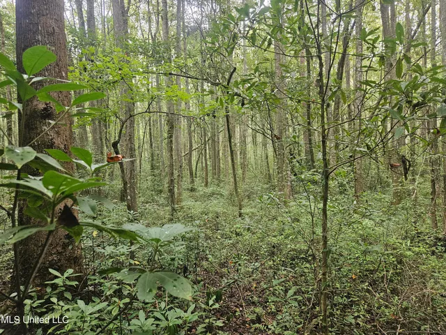 $296,000 | Simpson Hwy Mount, Mount Olive, MS 39119