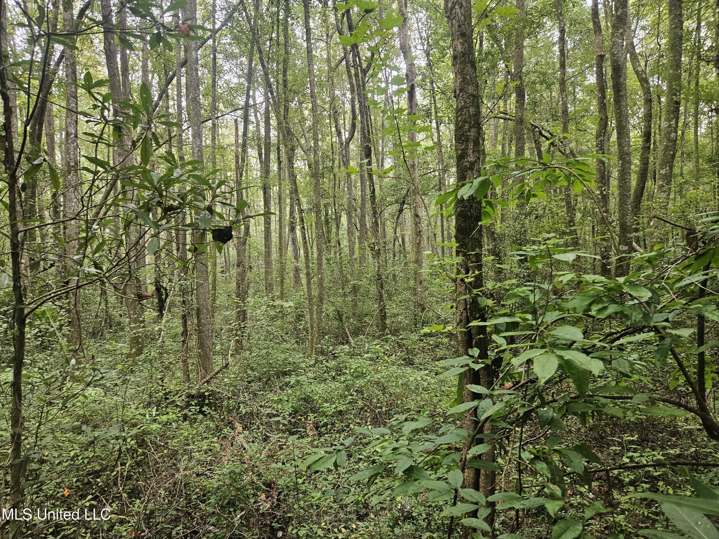 Simpson Hwy Mount Mount Olive, MS 39119 - Photo 12 of 82 20250902_092949