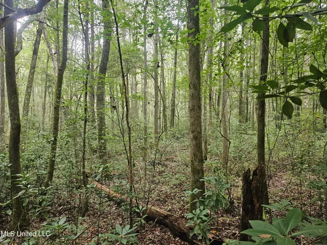 $296,000 | Simpson Hwy Mount, Mount Olive, MS 39119