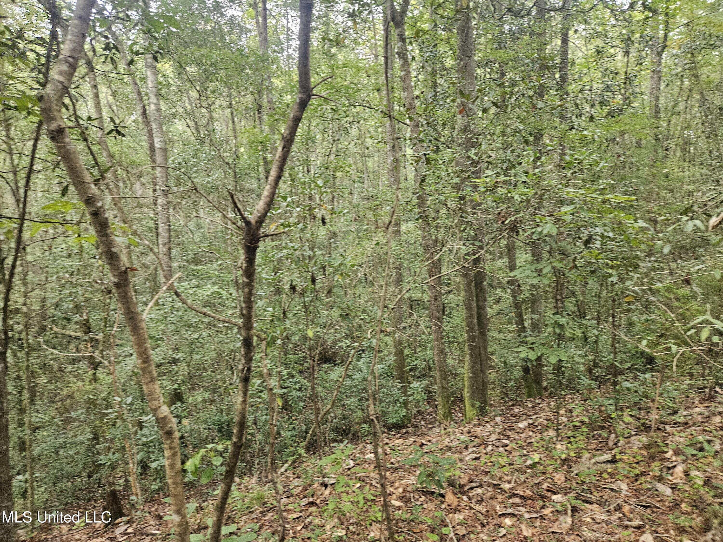 Simpson Hwy Mount Mount Olive, MS 39119 - Photo 14 of 82 20250902_093305