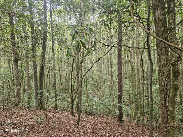 $296,000 | Simpson Hwy Mount, Mount Olive, MS 39119