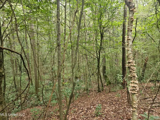 $296,000 | Simpson Hwy Mount, Mount Olive, MS 39119