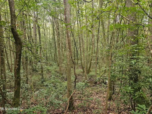 $296,000 | Simpson Hwy Mount, Mount Olive, MS 39119