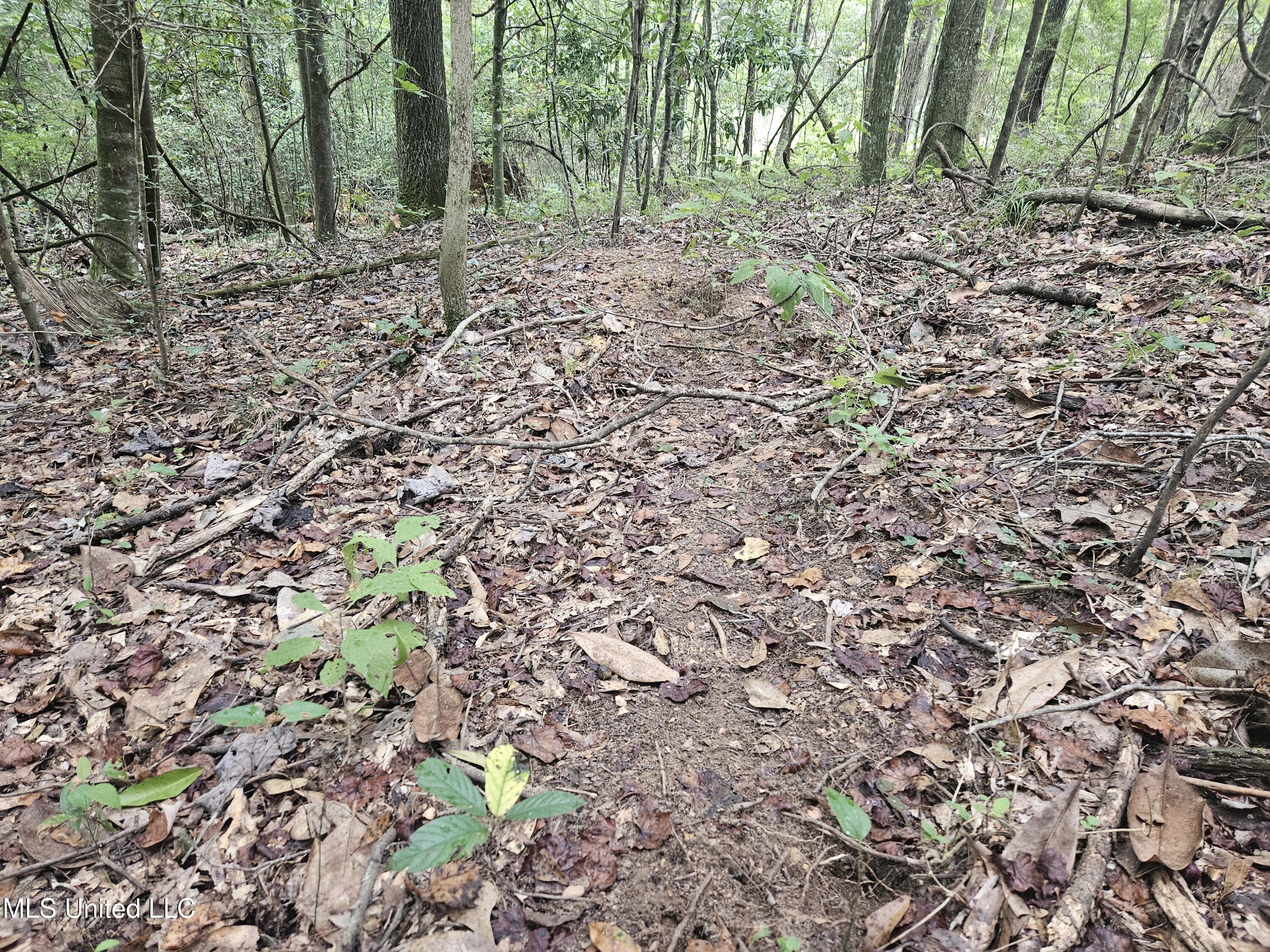 Simpson Hwy Mount Mount Olive, MS 39119 - Photo 18 of 82 20250902_093519