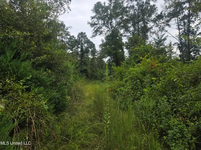 $296,000 | Simpson Hwy Mount, Mount Olive, MS 39119