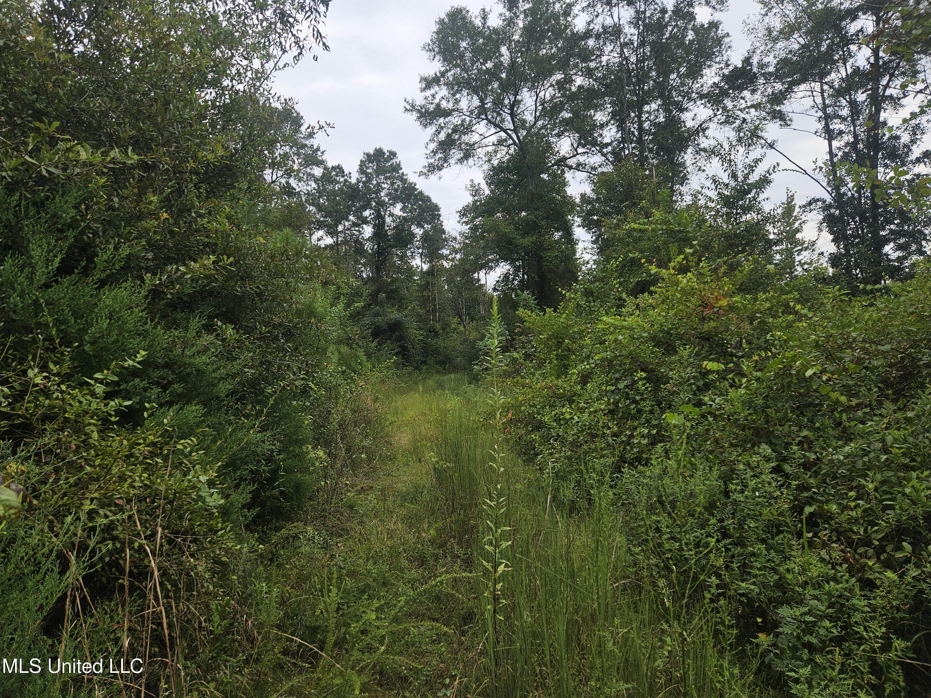 Simpson Hwy Mount Mount Olive, MS 39119 - Photo 19 of 82 20250902_095948