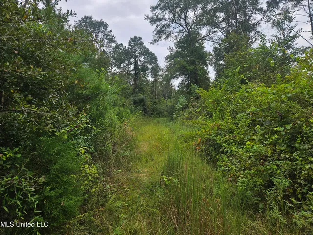 $296,000 | Simpson Hwy Mount, Mount Olive, MS 39119