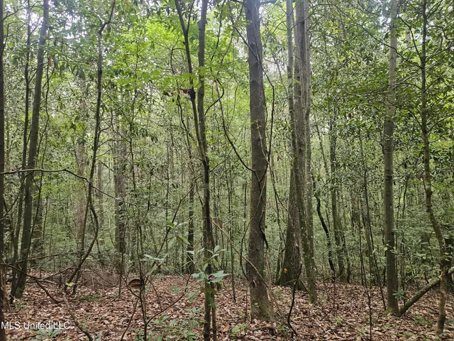 $296,000 | Simpson Hwy Mount, Mount Olive, MS 39119