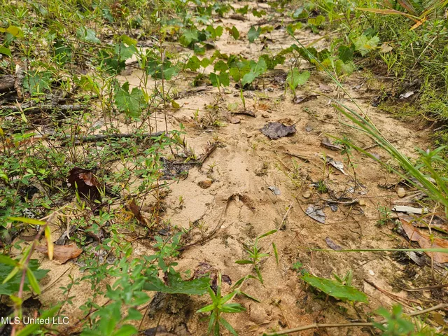 $296,000 | Simpson Hwy Mount, Mount Olive, MS 39119