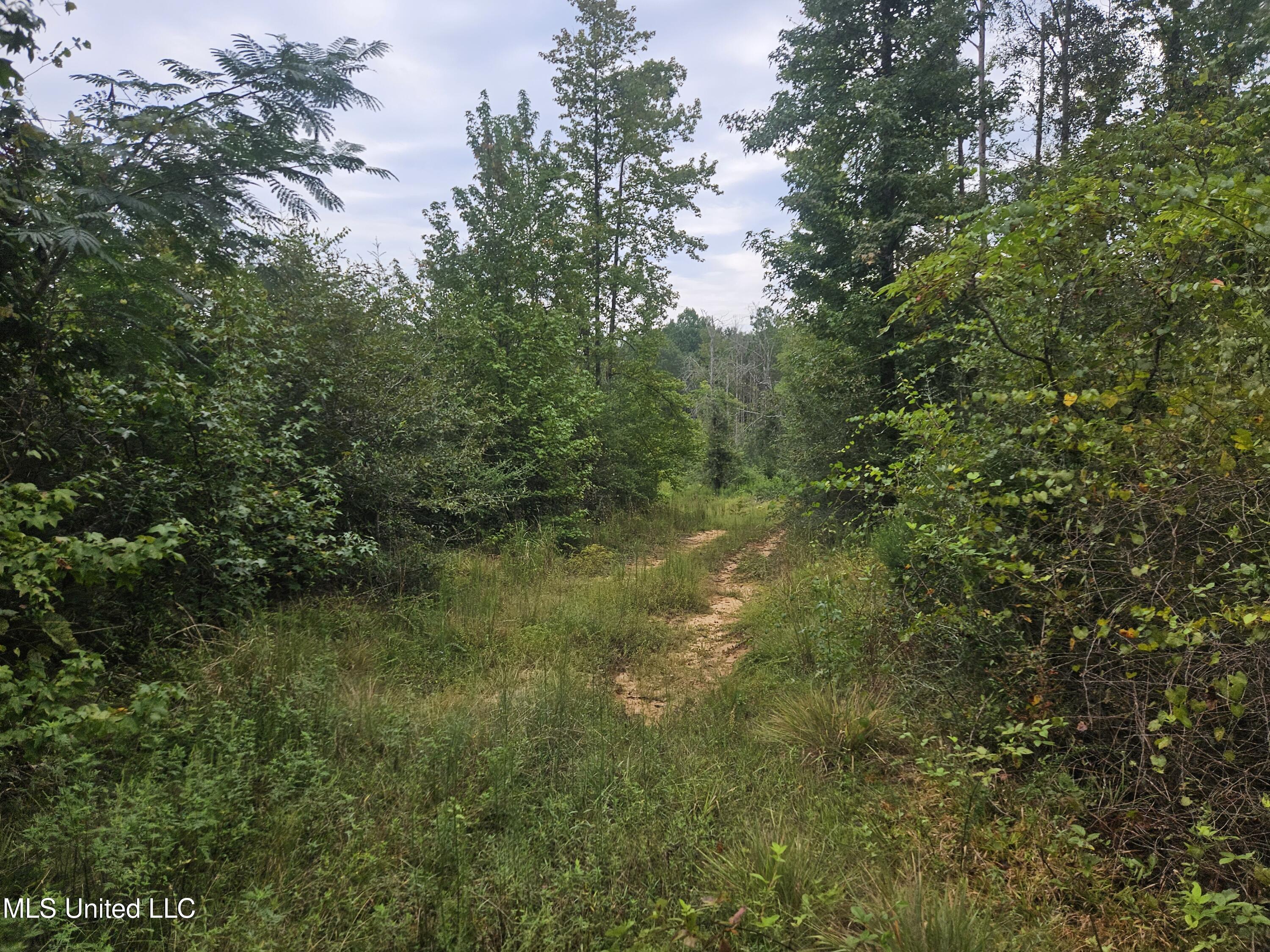 Simpson Hwy Mount Mount Olive, MS 39119 - Photo 22 of 82 20250902_100048