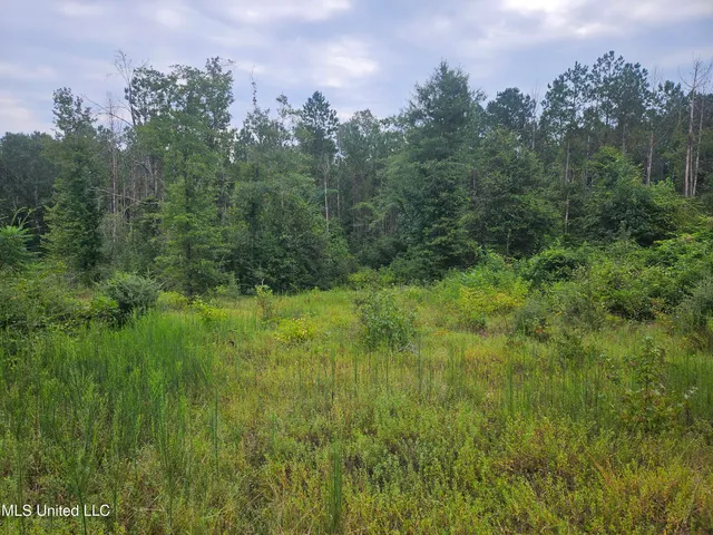 $296,000 | Simpson Hwy Mount, Mount Olive, MS 39119