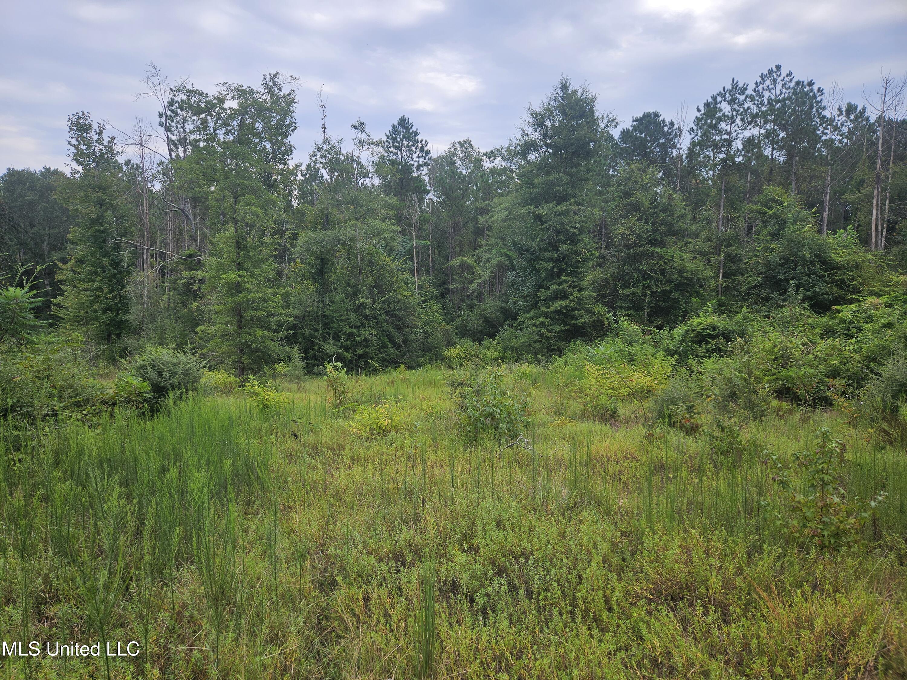 Simpson Hwy Mount Mount Olive, MS 39119 - Photo 23 of 82 20250902_100122