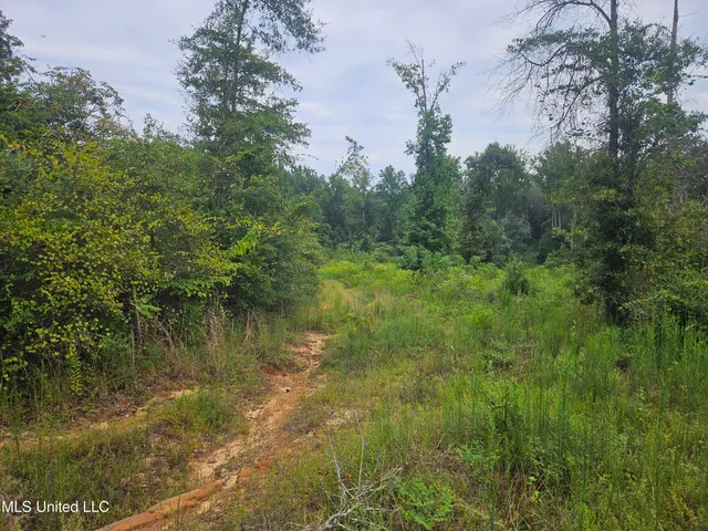 $296,000 | Simpson Hwy Mount, Mount Olive, MS 39119