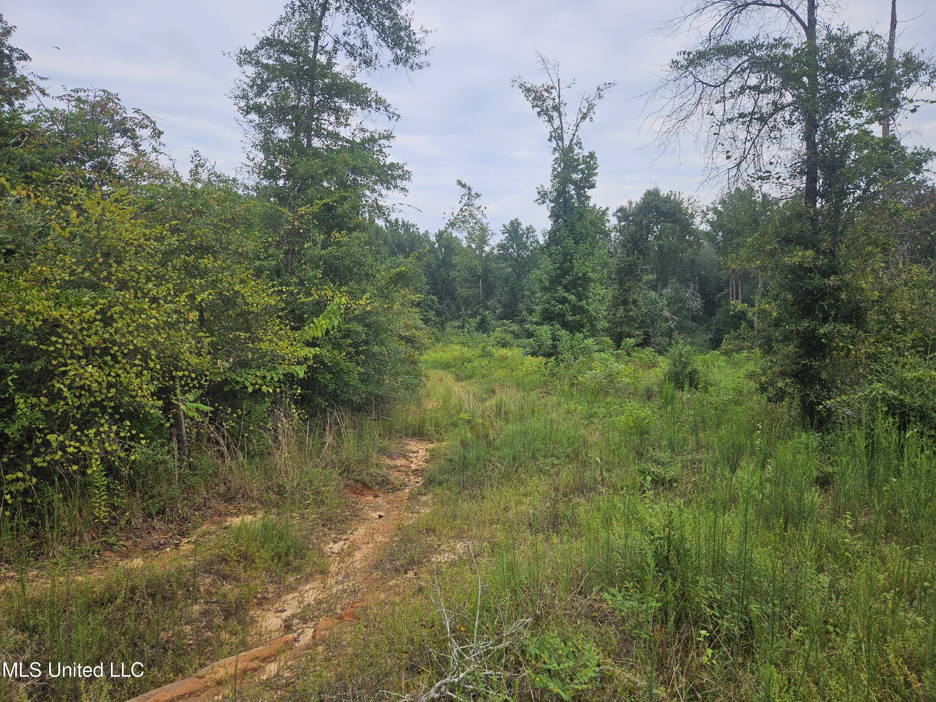 Simpson Hwy Mount Mount Olive, MS 39119 - Photo 24 of 82 20250902_100125