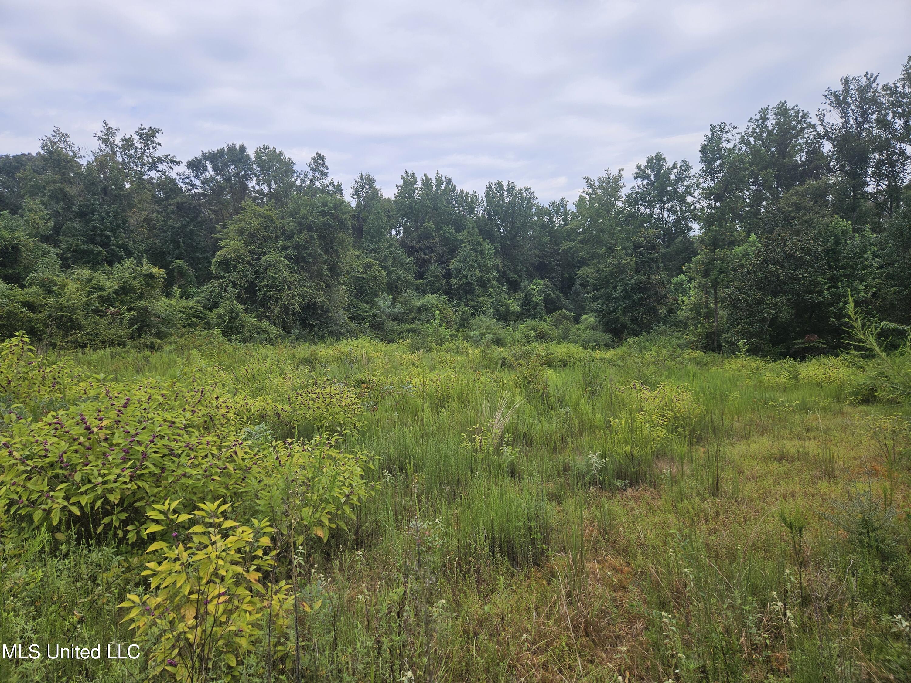 Simpson Hwy Mount Mount Olive, MS 39119 - Photo 25 of 82 20250902_100227
