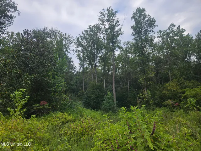 $296,000 | Simpson Hwy Mount, Mount Olive, MS 39119