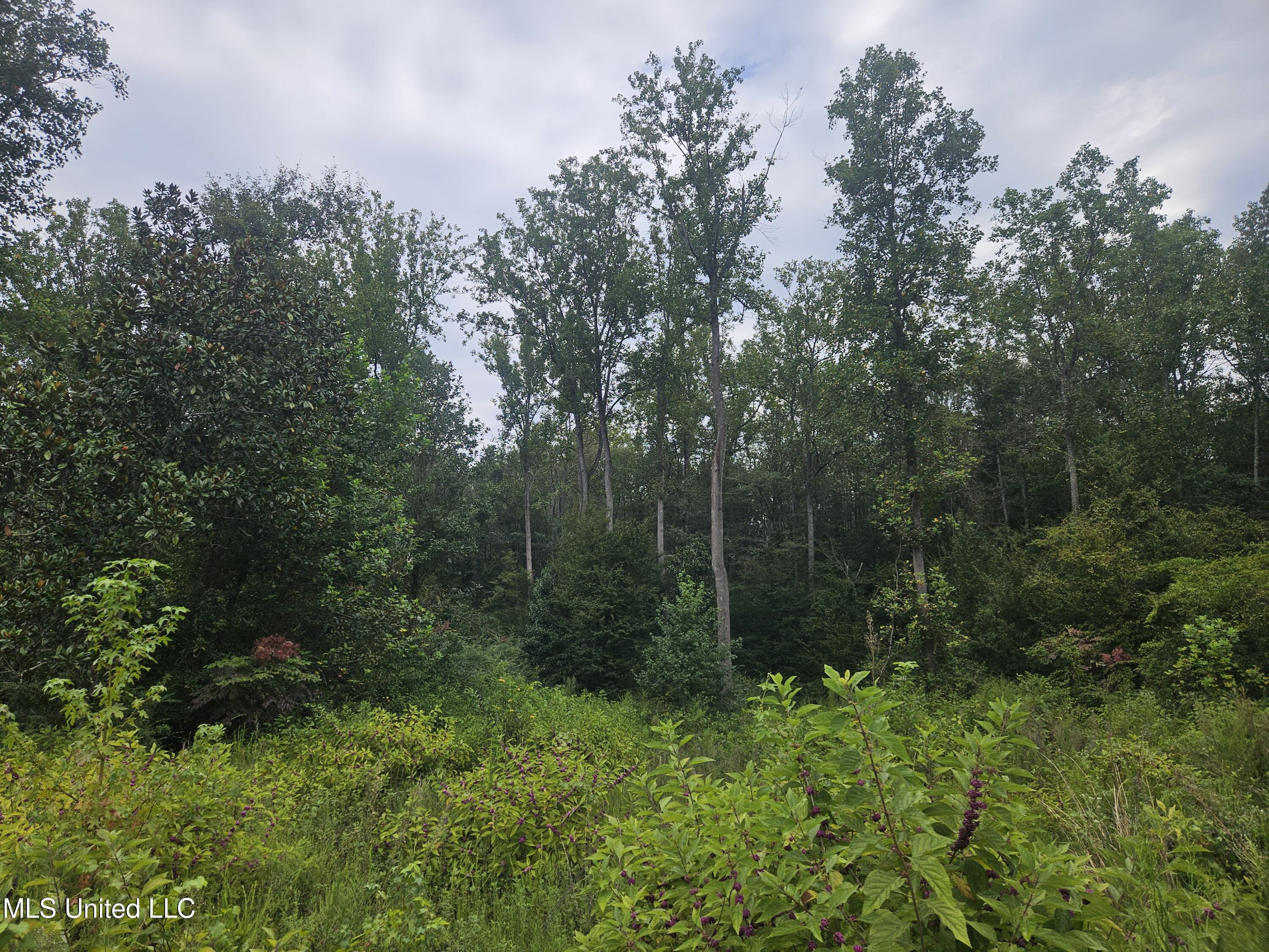 Simpson Hwy Mount Mount Olive, MS 39119 - Photo 26 of 82 20250902_100258