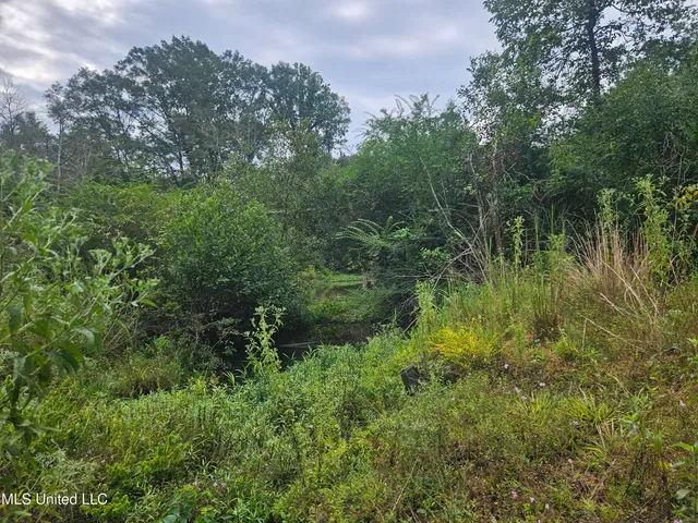 $296,000 | Simpson Hwy Mount, Mount Olive, MS 39119