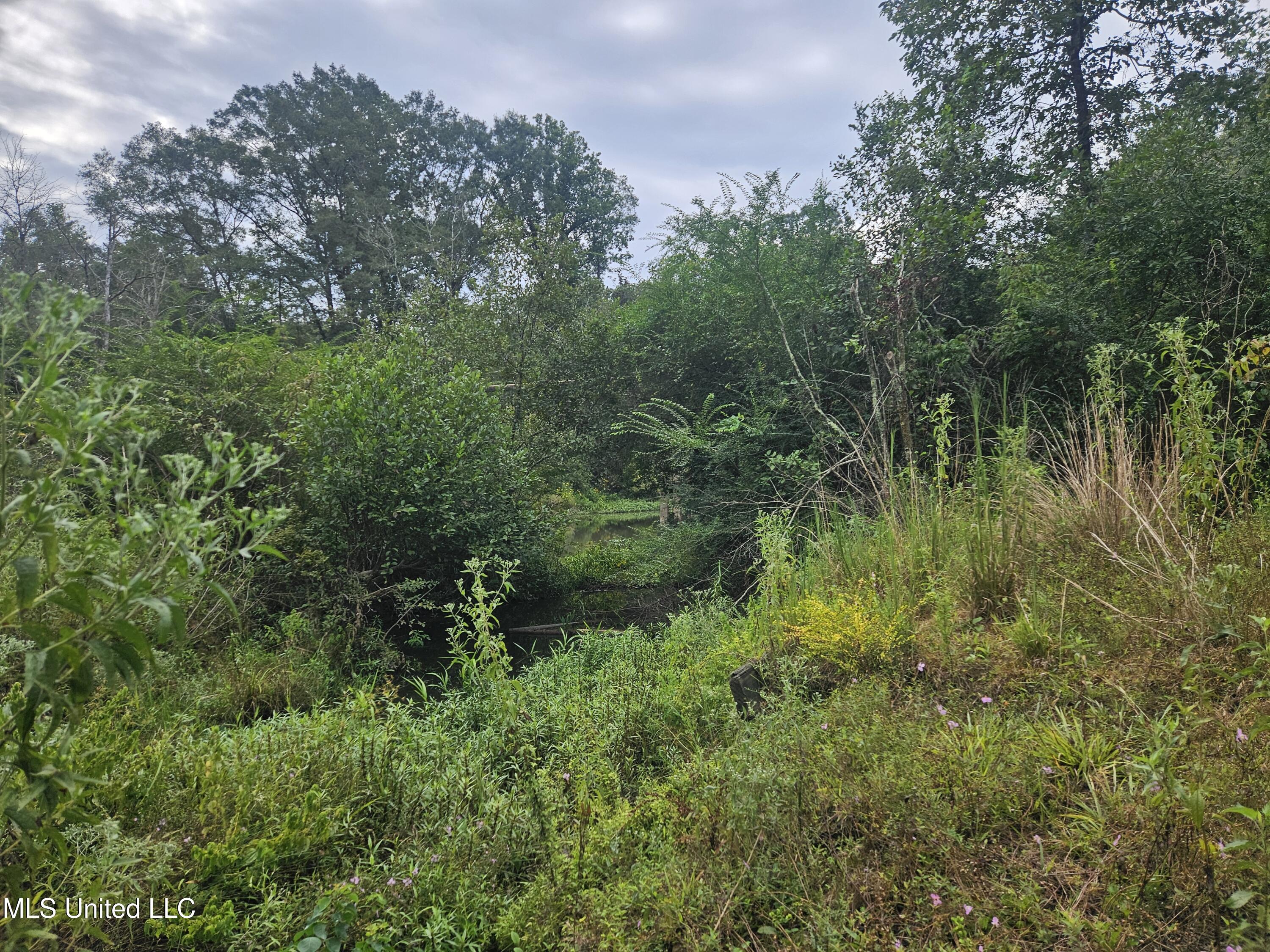 Simpson Hwy Mount Mount Olive, MS 39119 - Photo 27 of 82 20250902_102308