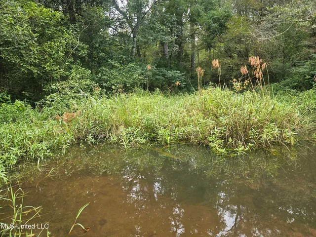 $296,000 | Simpson Hwy Mount, Mount Olive, MS 39119