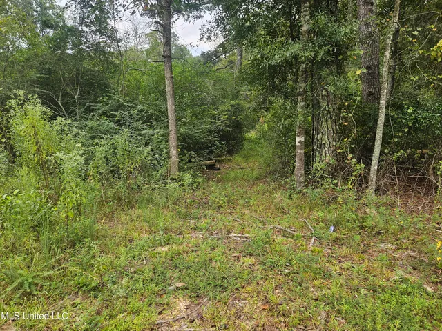 $296,000 | Simpson Hwy Mount, Mount Olive, MS 39119