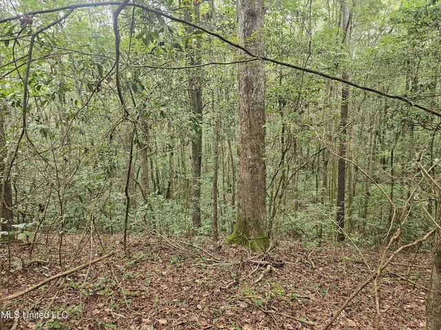 $296,000 | Simpson Hwy Mount, Mount Olive, MS 39119