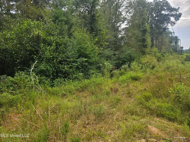 $296,000 | Simpson Hwy Mount, Mount Olive, MS 39119