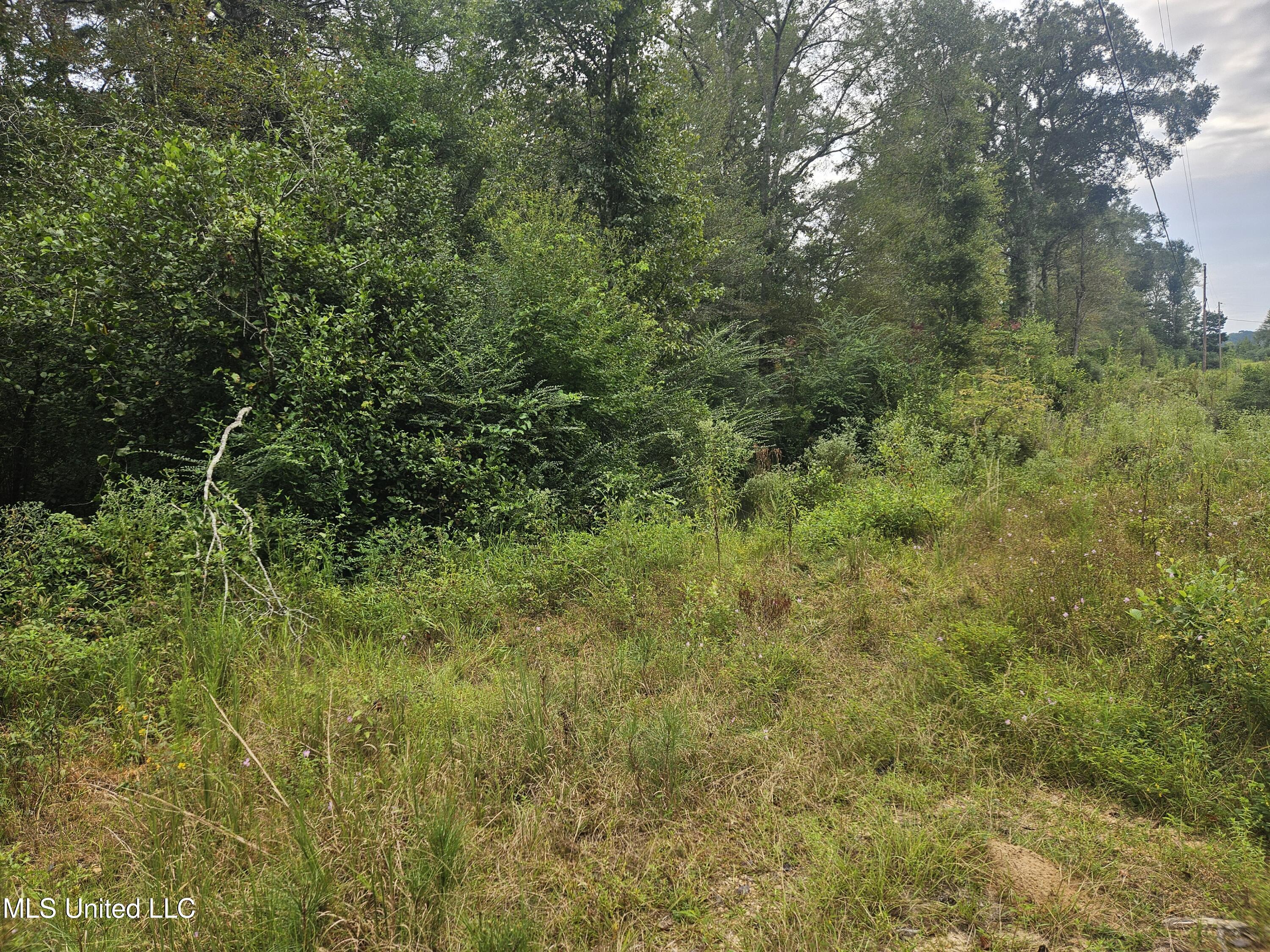 Simpson Hwy Mount Mount Olive, MS 39119 - Photo 31 of 82 20250902_102404