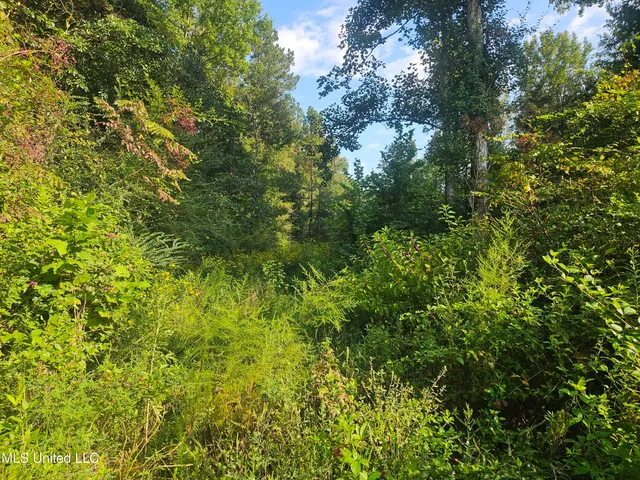 $296,000 | Simpson Hwy Mount, Mount Olive, MS 39119