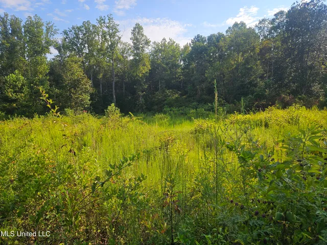 $296,000 | Simpson Hwy Mount, Mount Olive, MS 39119