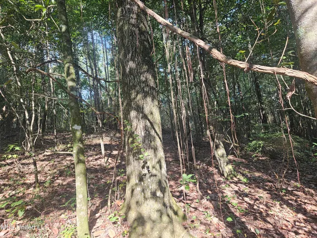 $296,000 | Simpson Hwy Mount, Mount Olive, MS 39119