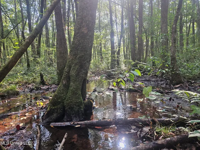 $296,000 | Simpson Hwy Mount, Mount Olive, MS 39119