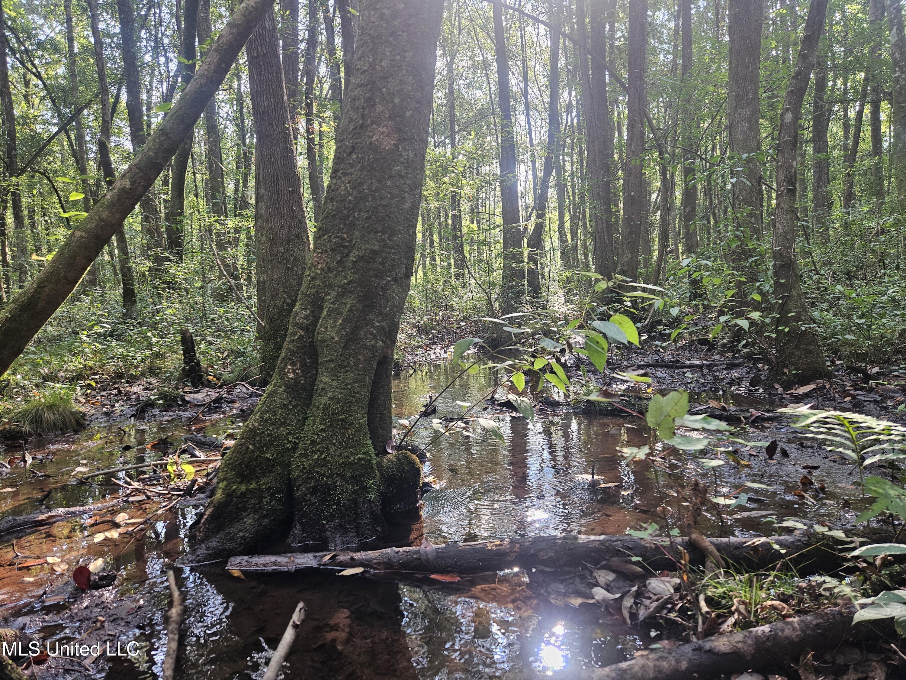 Simpson Hwy Mount Mount Olive, MS 39119 - Photo 35 of 82 20250903_090729
