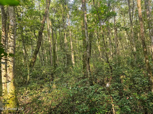 $296,000 | Simpson Hwy Mount, Mount Olive, MS 39119