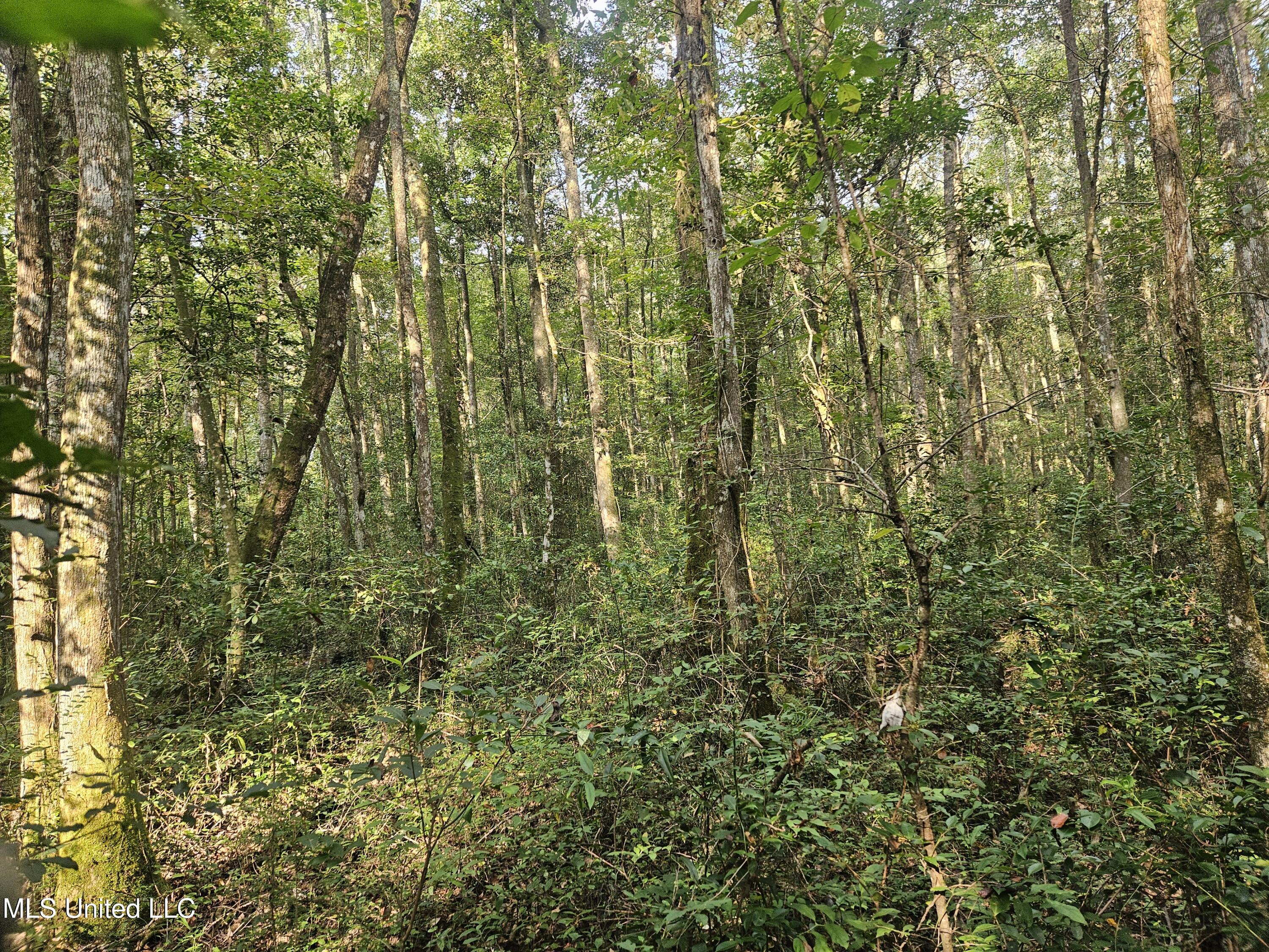 Simpson Hwy Mount Mount Olive, MS 39119 - Photo 37 of 82 20250903_091047