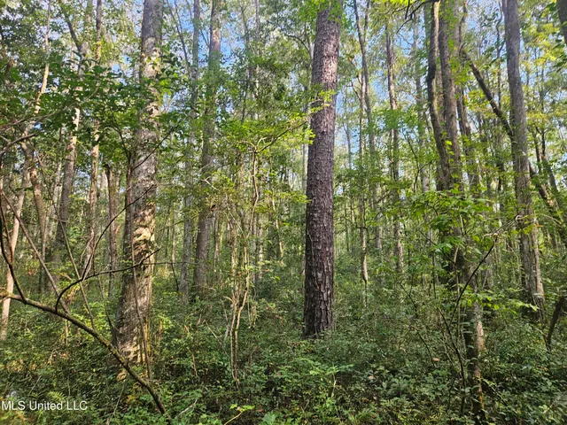 $296,000 | Simpson Hwy Mount, Mount Olive, MS 39119