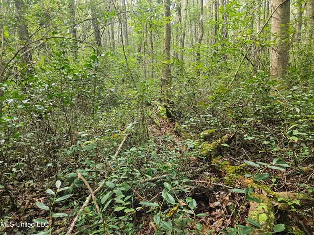 $296,000 | Simpson Hwy Mount, Mount Olive, MS 39119