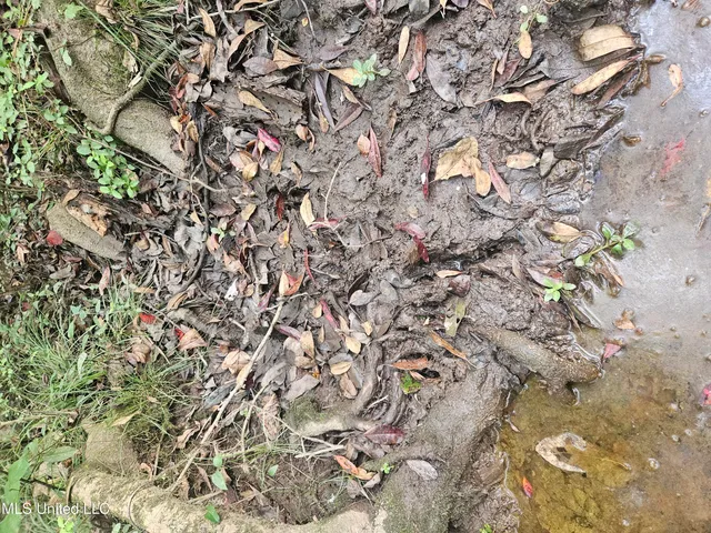 $296,000 | Simpson Hwy Mount, Mount Olive, MS 39119