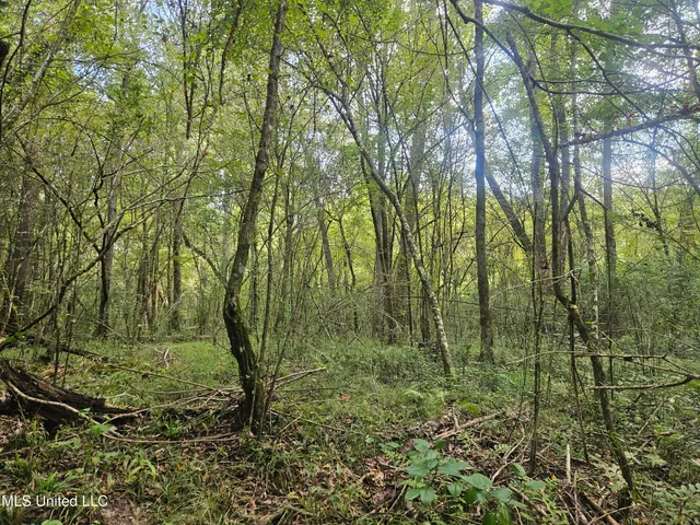 $296,000 | Simpson Hwy Mount, Mount Olive, MS 39119