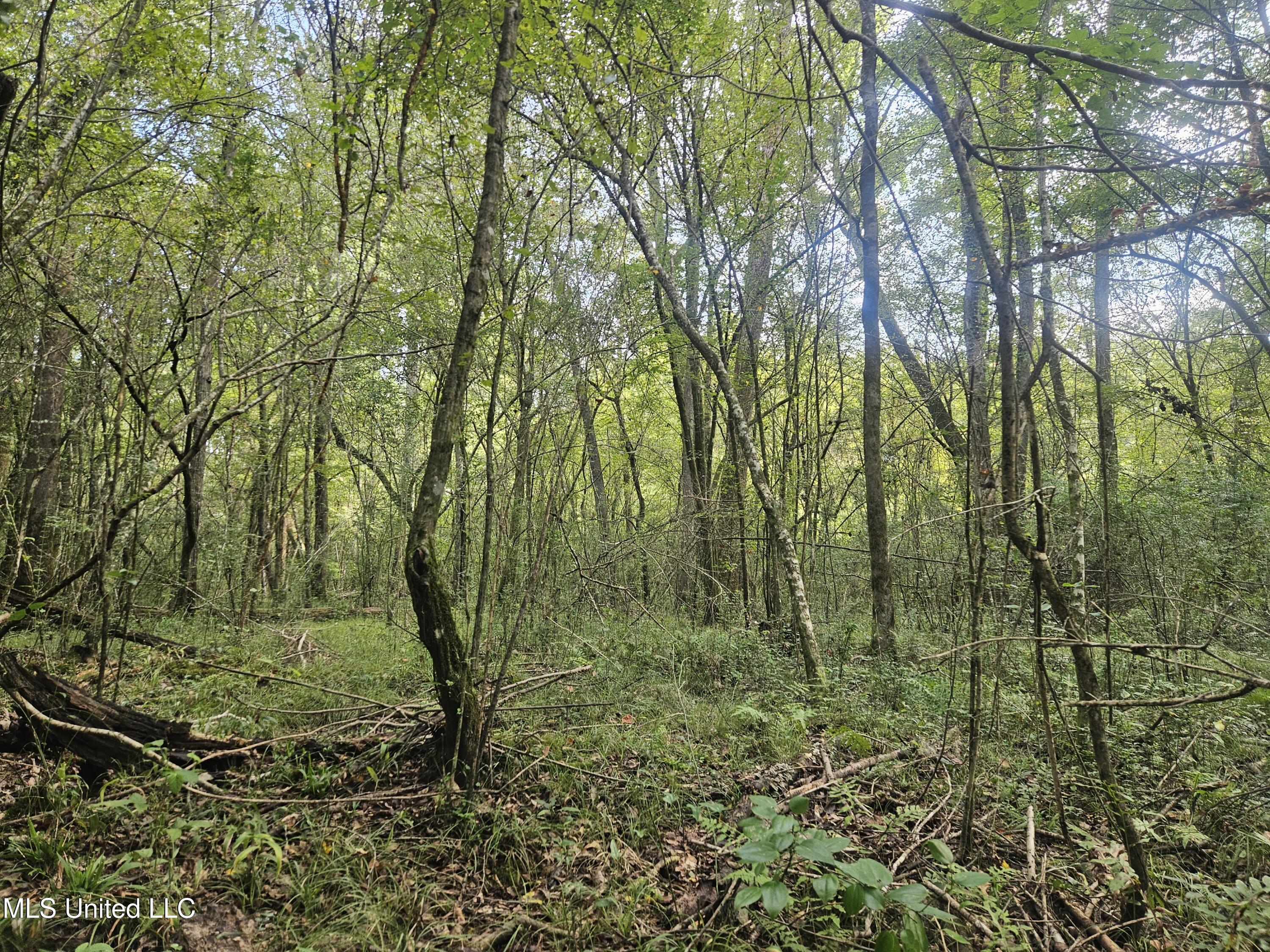 Simpson Hwy Mount Mount Olive, MS 39119 - Photo 41 of 82 20250903_092630