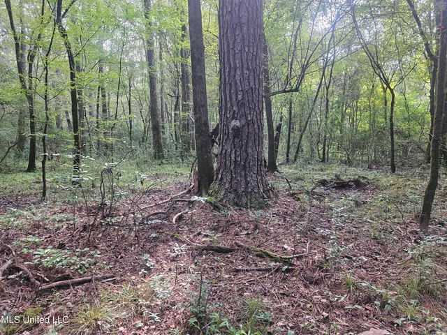 $296,000 | Simpson Hwy Mount, Mount Olive, MS 39119