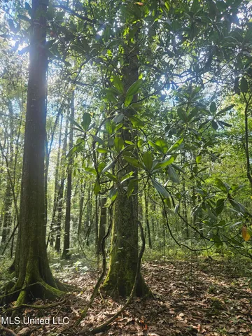 $296,000 | Simpson Hwy Mount, Mount Olive, MS 39119