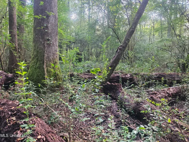 $296,000 | Simpson Hwy Mount, Mount Olive, MS 39119