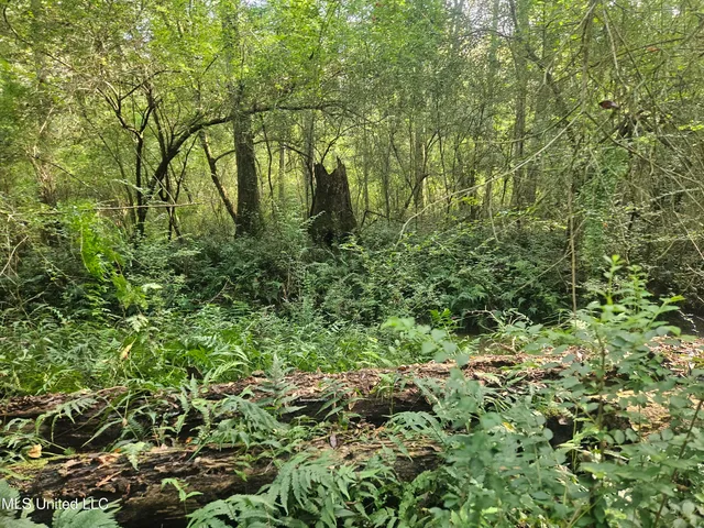 $296,000 | Simpson Hwy Mount, Mount Olive, MS 39119